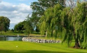 haggin oaks golf course 