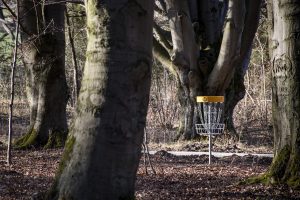disc golf pin placed between the trees