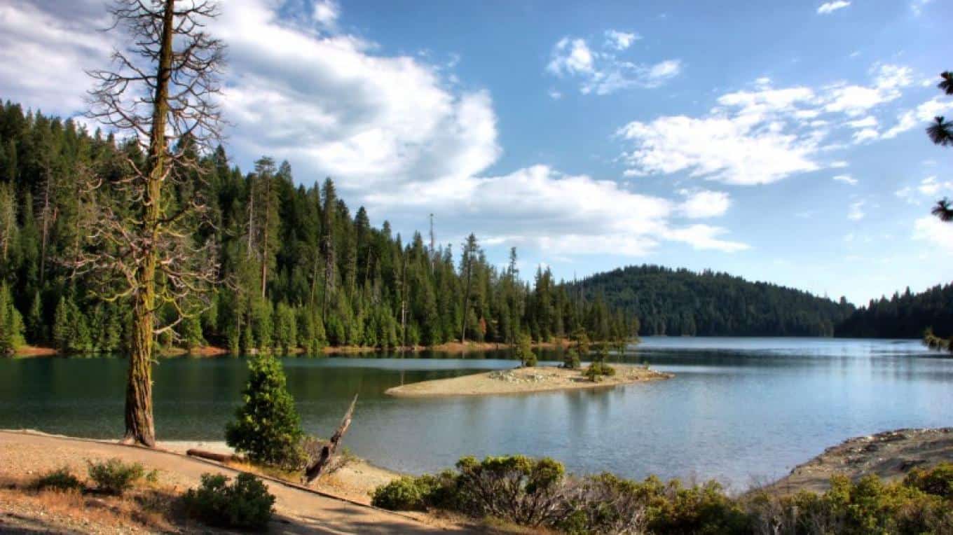 Sugar Pine/ Foresthill lake view